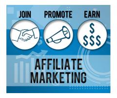 "How to Earn a 6-Figure Side-Income Online"