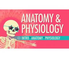 human Anatomy & physiology course