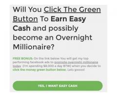 Easy Work at Home- Earns $500s daily!