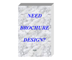 PROFESSIONAL BROCHURE DESIGNER