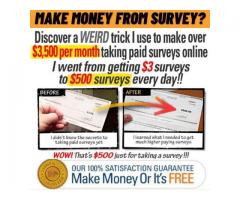 Make Money From Survey ??