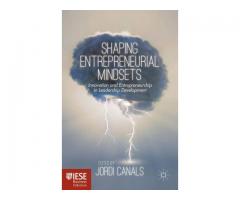 Shaping Entrepreneurial Mindsets Innovation