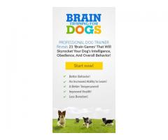 High Quality Brain Training for Your Dog!!