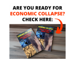 Virus 2020 - Economic Collapse Guide - How To Survive The Crisis