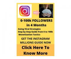 Make Money Online 0 – 100k FOLLOWERS in 4 Months