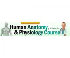 Human anatomy and Physiology course for you