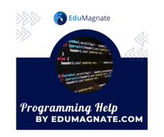 Avail USA’s Best Online Programming Help by Edumagnate.Com