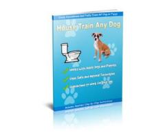 How To Housetrain & Potty Train Any Dog