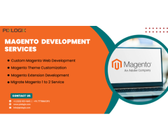 Professional Magento Development Services