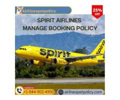 Manage your Flights on Spirit Airlines 