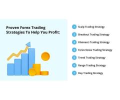 Maximize Your Forex Profits with Forex Signal: Your Path to Financial Freedom!