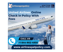 United Airlines Online Check In Policy With Fees
