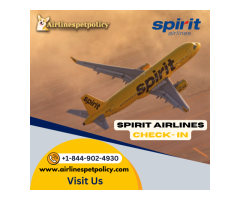 Spirit Airlines Check-in | Policy And Process