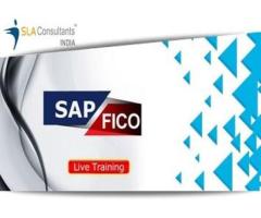 Join SAP FICO Training in Delhi, Adarsh Nagar, Accounting at SLA Institute, 100% Job with Best Salar