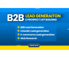 I will do targeted b2b leads and web research.