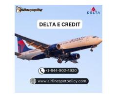 What is an e credit on Delta?