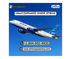 How do I add an unaccompanied minor to JetBlue flight?