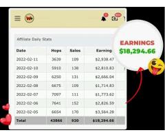 RAPID PROFIT MACHINE(RPM)- make at least $1,000 weekly