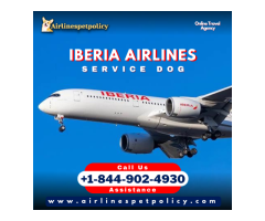 How do I book a flight with my service dog on Iberia?