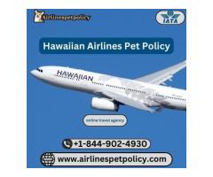 Do Hawaiian Airlines Allow Pets To Fly?