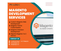 Boost Your Online Store with Expert Magento Development Services