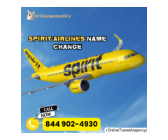 How to change the name on a Spirit Airlines ticket?