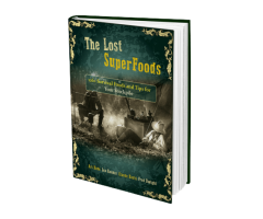 The Lost Superfoods Book Review
