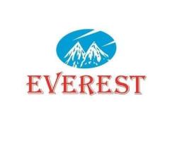EVEREST Stabilizer - Online Shopping for Home Appliances