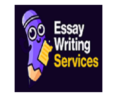  Essay Writing Service