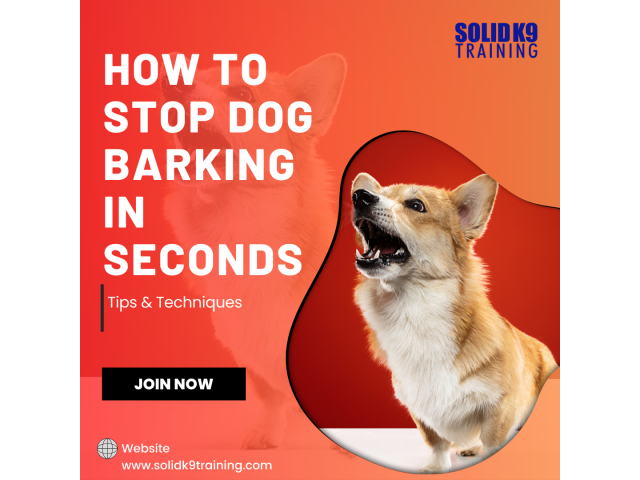 How to Stop Dog Barking in Seconds - Tips & Techniques