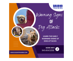 Learn the Early Warning Signs of Dog Attacks 