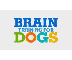 Brain Training for Dogs PLUS Exclusive Bonuses