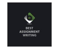 Best Assignment Writing 