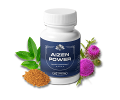 Aizen Power: Empowering Energy Solutions"