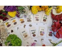 Medicinal Garden Kit, with 365 days money-back 