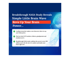 The Genius Wave: Boost your brain power