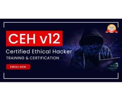 Master Cybersecurity Defense: Ethical Hacker Online Training