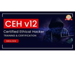 Ethical Hacker Training