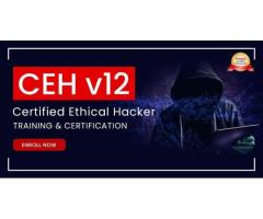 Certified Ethical Hacker Exam Training