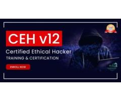 Master Cybersecurity with Certified Ethical Hacker Certification