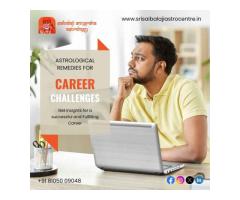 Career Achievement with the Best Astrologer - Srisaibalajiastrocentre.in