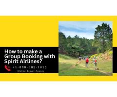 How to make a Group Booking with Spirit Airlines?