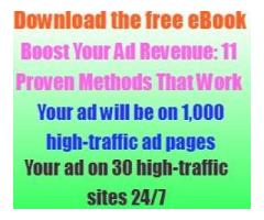 Download the free eBook - Increase Your Ad Revenue: 11 Proven Methods That Work